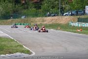 20110501_ales_agnus (2070)